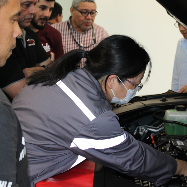 Imagen IMG_2550