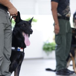 ITSE fortalece la integración comunitaria con la celebración del Día Familiar ITSE 2026